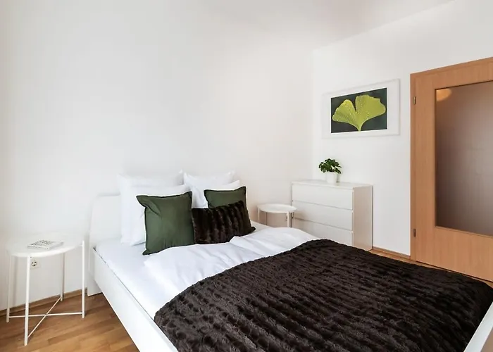 Pleasant & Comfy Apartment In Super Location