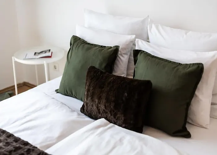 Pleasant & Comfy Apartment In Super Location